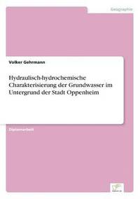 bokomslag Hydraulisch-hydrochemische Charakterisierung der Grundwasser im Untergrund der Stadt Oppenheim