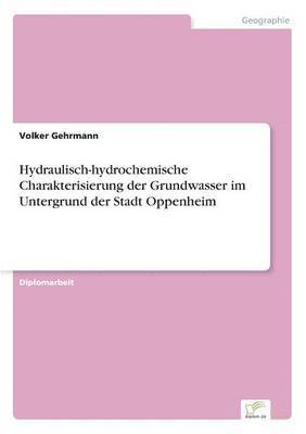 bokomslag Hydraulisch-hydrochemische Charakterisierung der Grundwasser im Untergrund der Stadt Oppenheim