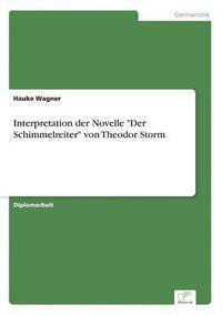 bokomslag Interpretation der Novelle &quot;Der Schimmelreiter&quot; von Theodor Storm