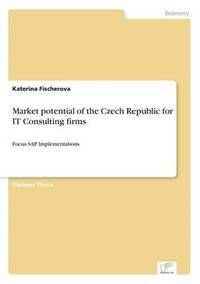 bokomslag Market potential of the Czech Republic for IT Consulting firms