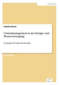 bokomslag Umweltmanagement in der Energie- und Wasserversorgung