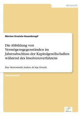 bokomslag Die Abbildung von Vermgensgegenstnden im Jahresabschluss der Kapitalgesellschaften whrend des Insolvenzverfahrens