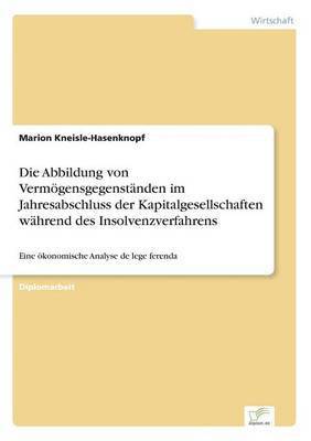 Marion Kneisle-Hasenknopf - Abbildung von Vermögensgegenständen im Jahresabschluss der Kapitalgesellschaften während des Insolvenzverfahrens, Häftad