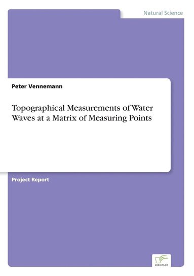 bokomslag Topographical Measurements of Water Waves at a Matrix of Measuring Points