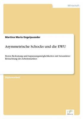 bokomslag Asymmetrische Schocks und die EWU