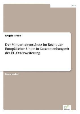 bokomslag Der Minderheitenschutz im Recht der Europaischen Union in Zusammenhang mit der EU-Osterweiterung