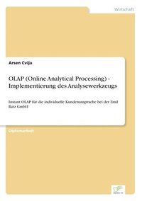 bokomslag OLAP (Online Analytical Processing) - Implementierung des Analysewerkzeugs