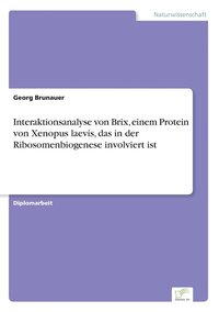 bokomslag Interaktionsanalyse von Brix, einem Protein von Xenopus laevis, das in der Ribosomenbiogenese involviert ist