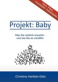 bokomslag Projekt Baby