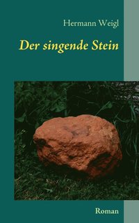 bokomslag Der singende Stein