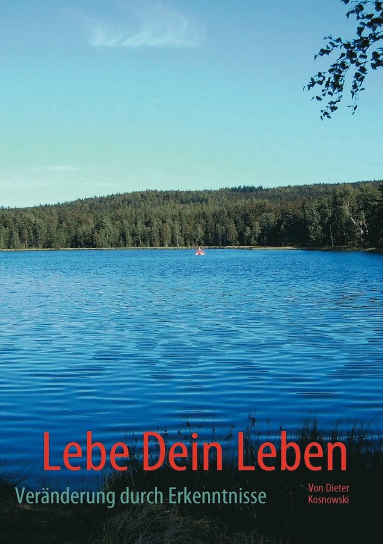 Lebe Dein Leben 1