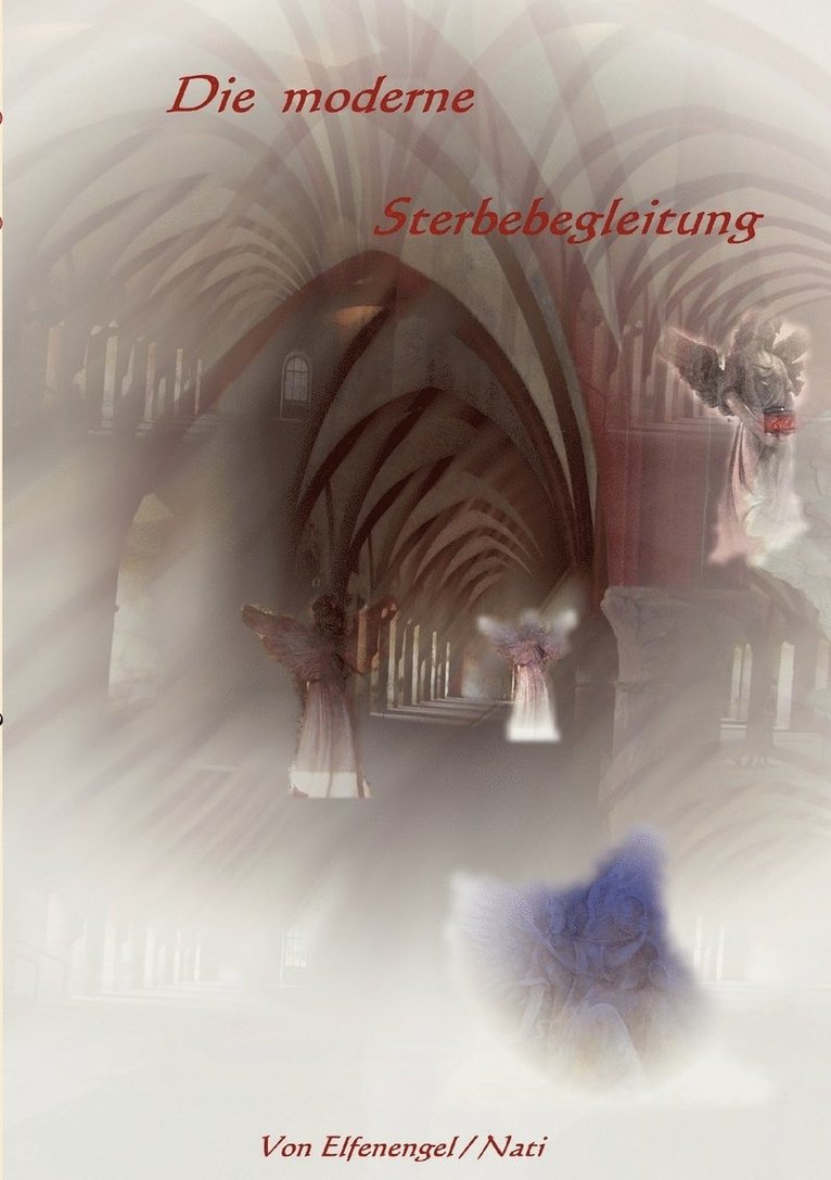 Nati Elfenengel - moderne Sterbebegleitung, Häftad