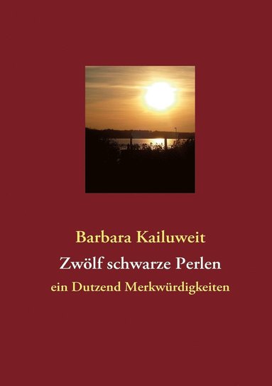 bokomslag Zwölf schwarze Perlen