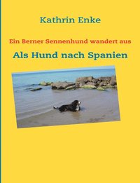 bokomslag Ein Berner Sennenhund wandert aus