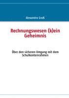 bokomslag Rechnungswesen (k)ein Geheimnis