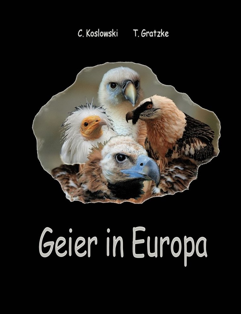 Geier in Europa 1