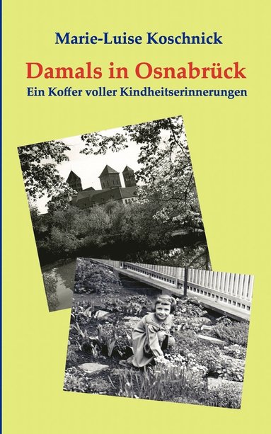 bokomslag Damals in Osnabrück
