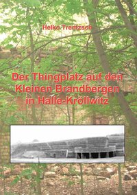 bokomslag Der Thingplatz auf den Kleinen Brandbergen in Halle-Kroellwitz