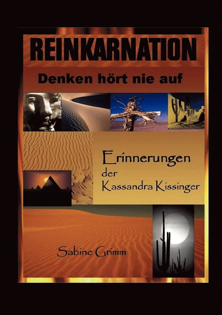 S Grimm, S. Grimm - Reinkarnation-Denken hört nie auf, Häftad