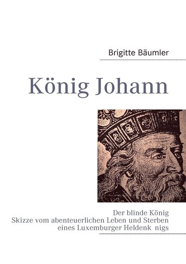 bokomslag Knig Johann