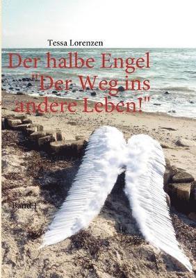 bokomslag halbe Engel Band 1 Der Weg ins andere Leben!