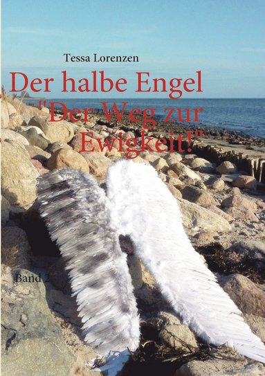 bokomslag halbe Engel Band 2 Der Weg zur Ewigkeit!