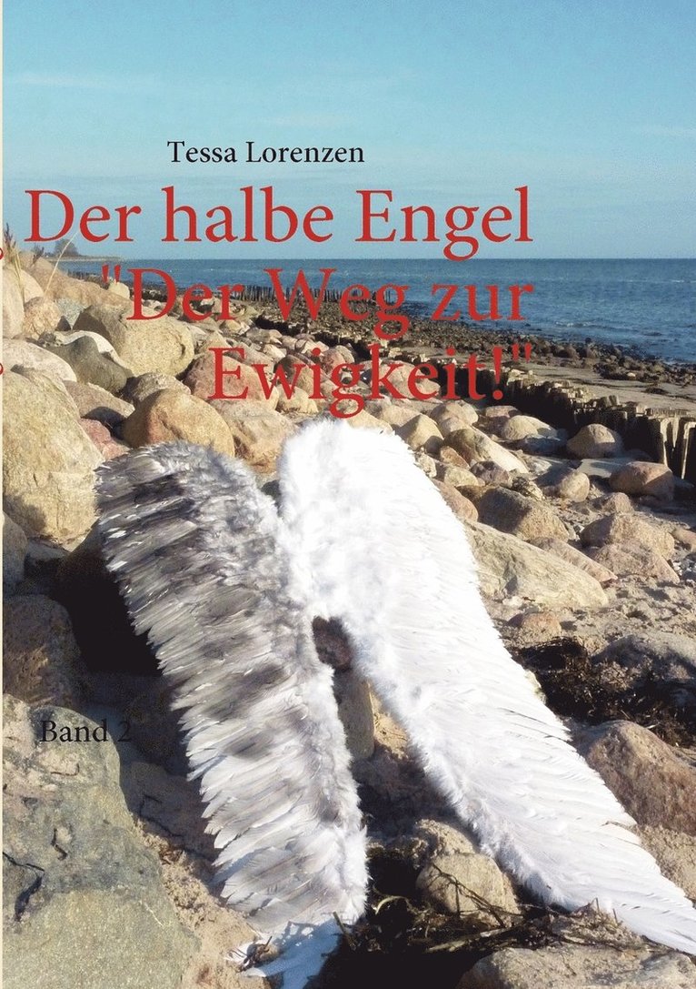 Der halbe Engel Band 2 Der Weg zur Ewigkeit! 1