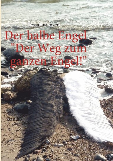 bokomslag halbe Engel Band 3 Der Weg zum ganzen Engel!