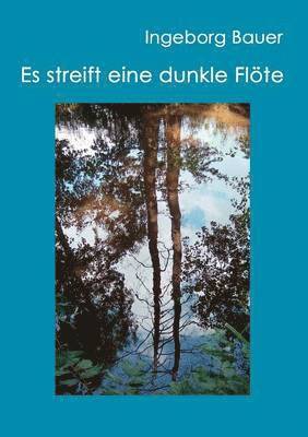 bokomslag Es streift eine dunkle Flöte