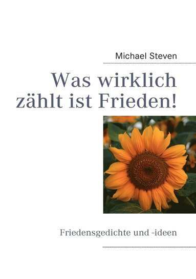 bokomslag Was wirklich zählt ist Frieden!