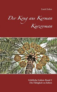 bokomslag Der Krug aus Kerman