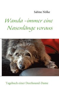 bokomslag Wanda - immer eine Nasenlnge voraus