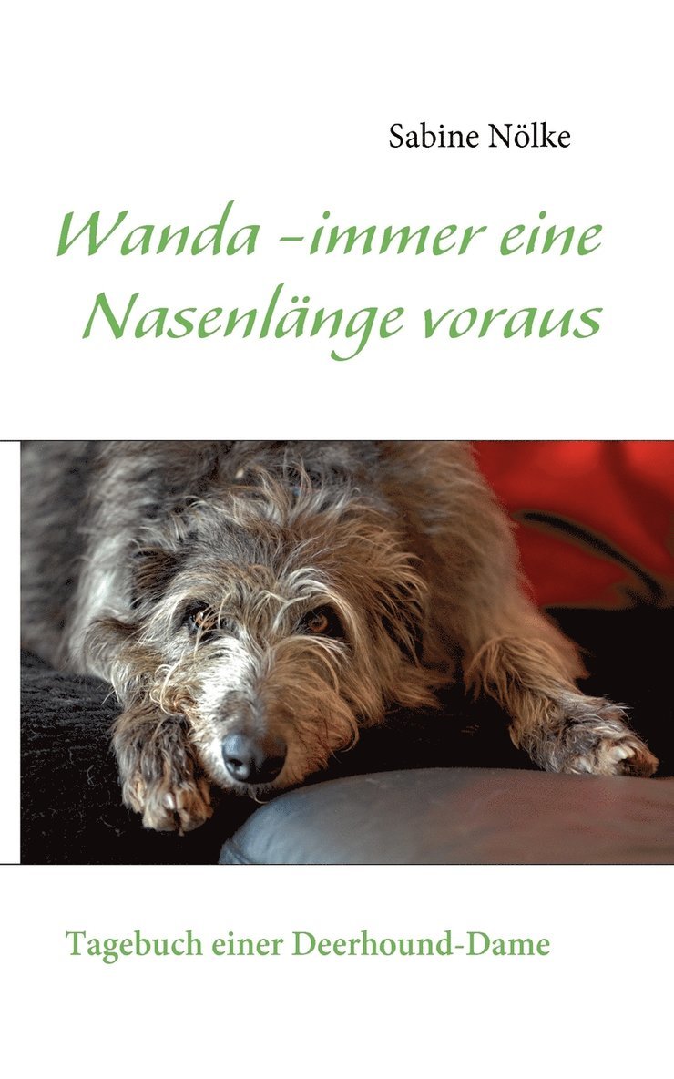 Sabine Nölke - Wanda - immer eine Nasenlänge voraus, Häftad