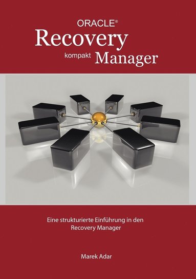 bokomslag Recovery Manager Kompakt