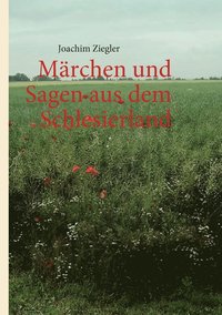 bokomslag Märchen und Sagen aus dem Schlesierland