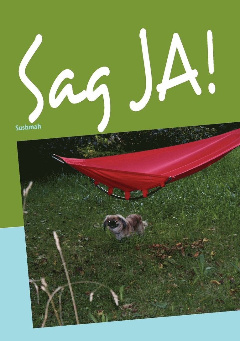 Sag Ja! 1