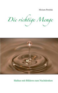 bokomslag richtige Menge