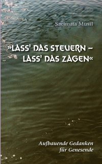 bokomslag Lass' das Steuern - lass' das Zagen