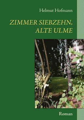 Helmut Hofmann - Zimmer siebzehn, alte Ulme, Häftad