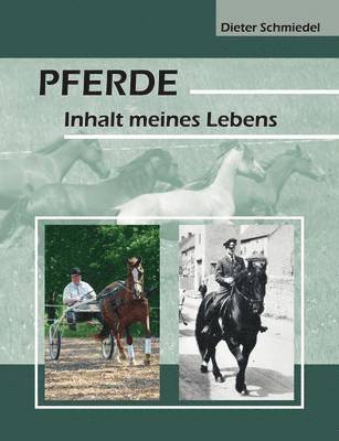 Pferde 1