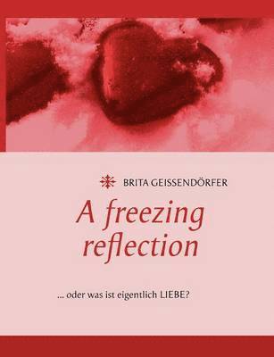 Brita Geißendörfer - A freezing reflection, Häftad