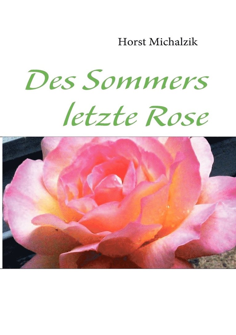 Des Sommers letzte Rose