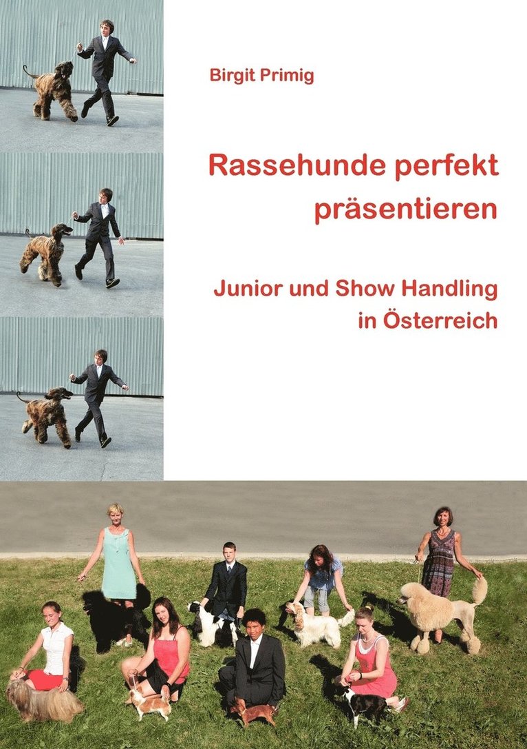 Rassehunde perfekt präsentieren