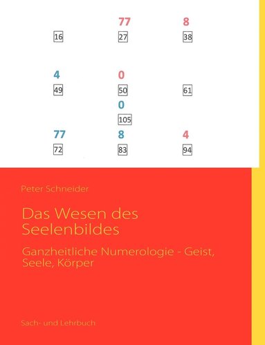 bokomslag Wesen des Seelenbildes