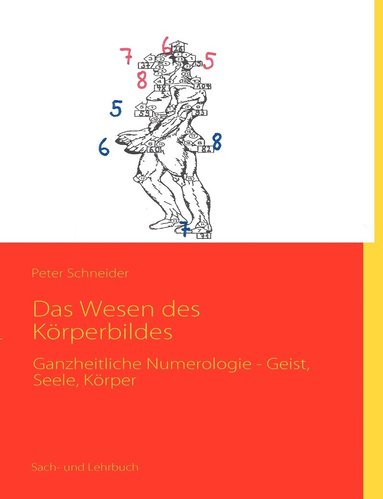 bokomslag Wesen des Körperbildes