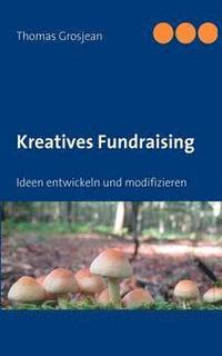 bokomslag Kreatives Fundraising