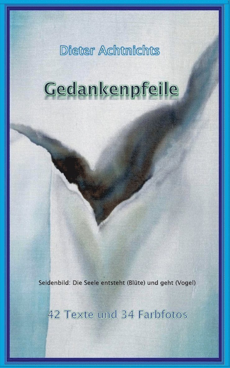 Dieter Achtnichts - Gedankenpfeile, Häftad