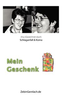 bokomslag Mein Geschenk