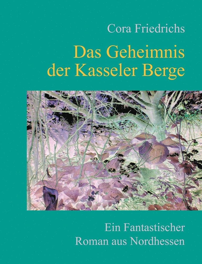 Cora Friedrichs - Geheimnis der Kasseler Berge, Häftad