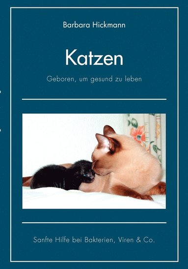 bokomslag Katzen - geboren, um gesund zu leben